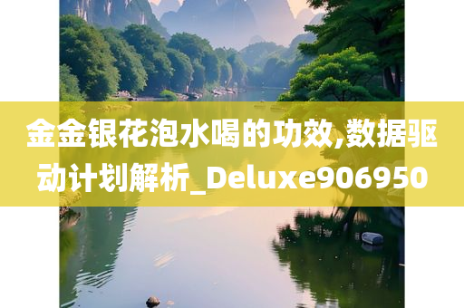 金金银花泡水喝的功效,数据驱动计划解析_Deluxe906950