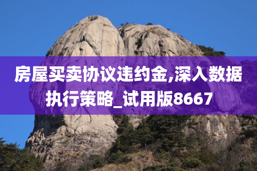 房屋买卖协议违约金,深入数据执行策略_试用版8667