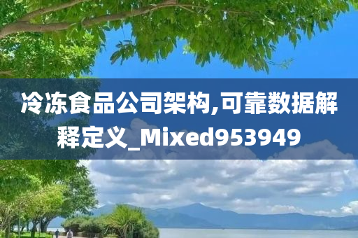 冷冻食品公司架构,可靠数据解释定义_Mixed953949