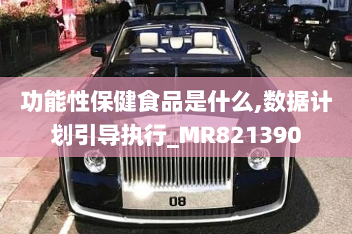 功能性保健食品是什么,数据计划引导执行_MR821390