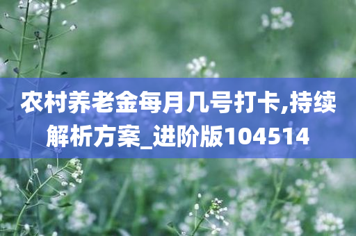 农村养老金每月几号打卡,持续解析方案_进阶版104514