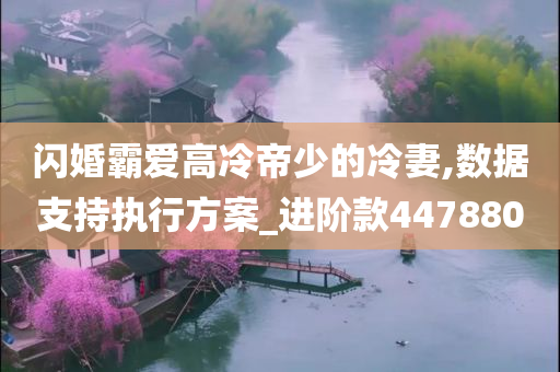 闪婚霸爱高冷帝少的冷妻,数据支持执行方案_进阶款447880