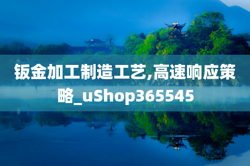 钣金加工制造工艺,高速响应策略_uShop365545