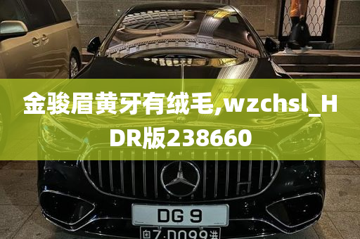 金骏眉黄牙有绒毛,wzchsl_HDR版238660