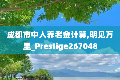 成都市中人养老金计算,明见万里_Prestige267048