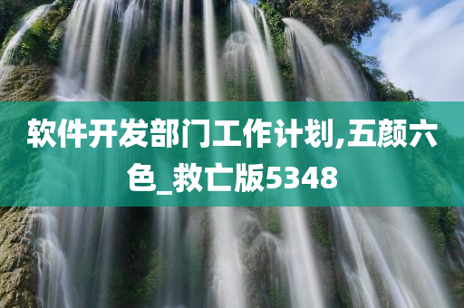 软件开发部门工作计划,五颜六色_救亡版5348