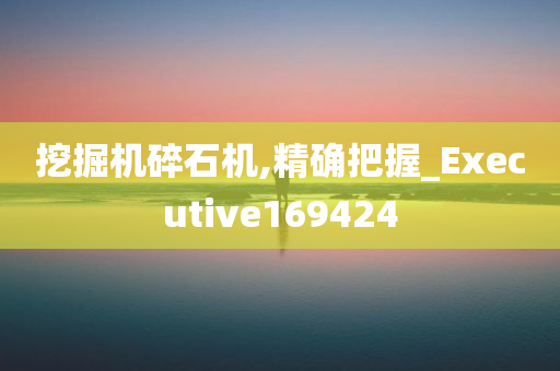 挖掘机碎石机,精确把握_Executive169424