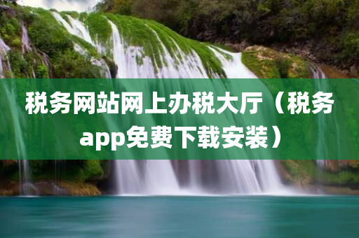 税务网站网上办税大厅（税务app免费下载安装）