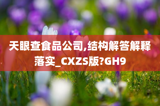 天眼查食品公司,结构解答解释落实_CXZS版?GH9