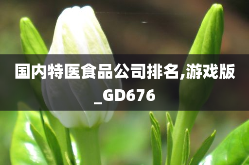 国内特医食品公司排名,游戏版_GD676