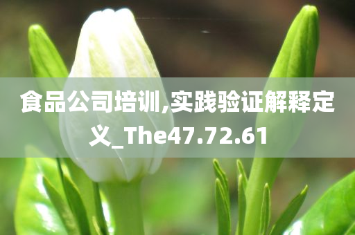 食品公司培训,实践验证解释定义_The47.72.61