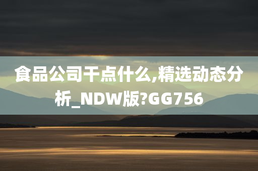 食品公司干点什么,精选动态分析_NDW版?GG756