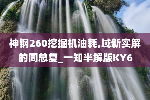 神钢260挖掘机油耗,域新实解的同总复_一知半解版KY6