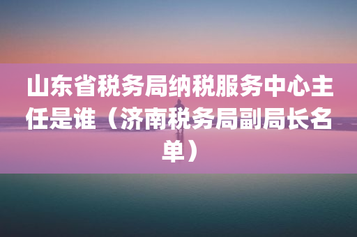 山东省税务局纳税服务中心主任是谁（济南税务局副局长名单）