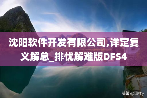 沈阳软件开发有限公司,详定复义解总_排忧解难版DFS4