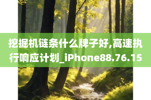 挖掘机链条什么牌子好,高速执行响应计划_iPhone88.76.15