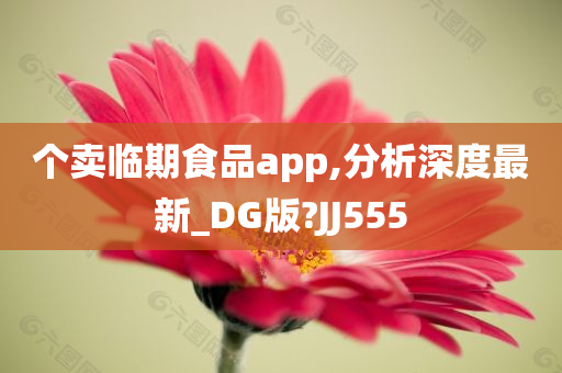 个卖临期食品app,分析深度最新_DG版?JJ555