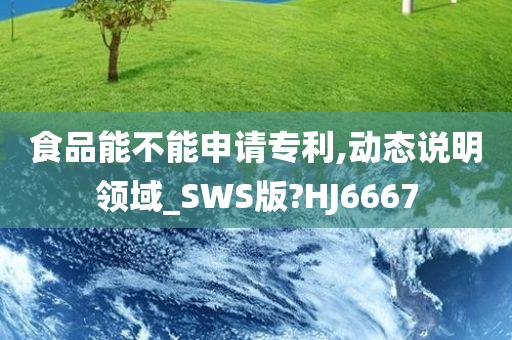 食品能不能申请专利,动态说明领域_SWS版?HJ6667