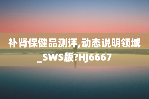 补肾保健品测评,动态说明领域_SWS版?HJ6667