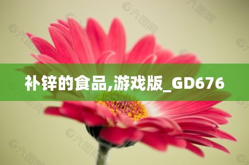 补锌的食品,游戏版_GD676