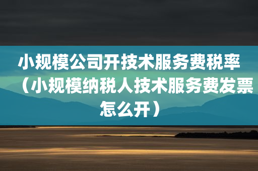 小规模公司开技术服务费税率（小规模纳税人技术服务费发票怎么开）