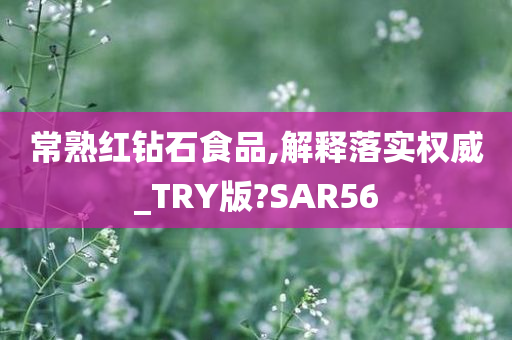 常熟红钻石食品,解释落实权威_TRY版?SAR56