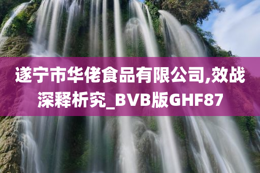 遂宁市华佬食品有限公司,效战深释析究_BVB版GHF87