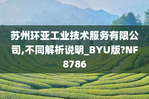 苏州环亚工业技术服务有限公司,不同解析说明_BYU版?NF8786