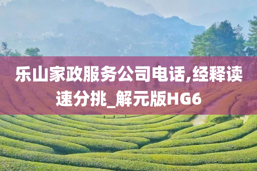 乐山家政服务公司电话,经释读速分挑_解元版HG6