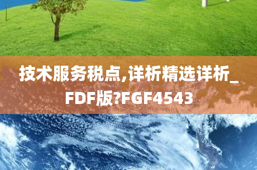 技术服务税点,详析精选详析_FDF版?FGF4543