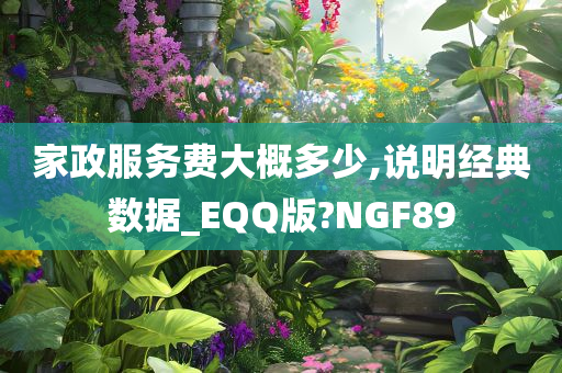 家政服务费大概多少,说明经典数据_EQQ版?NGF89