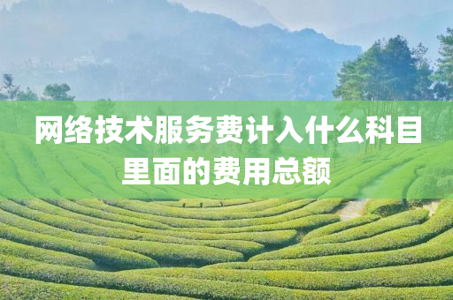 网络技术服务费计入什么科目里面的费用总额