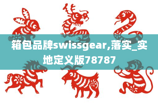 箱包品牌swissgear,落实_实地定义版78787