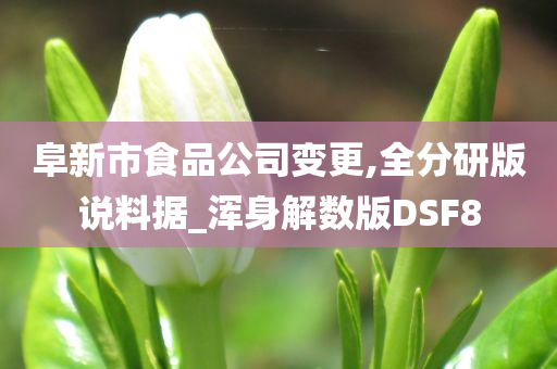 阜新市食品公司变更,全分研版说料据_浑身解数版DSF8