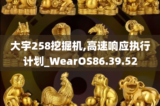 大宇258挖掘机,高速响应执行计划_WearOS86.39.52