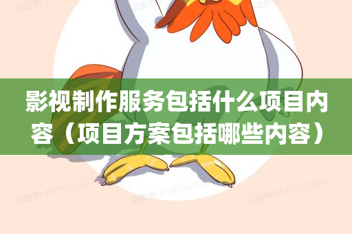 影视制作服务包括什么项目内容（项目方案包括哪些内容）