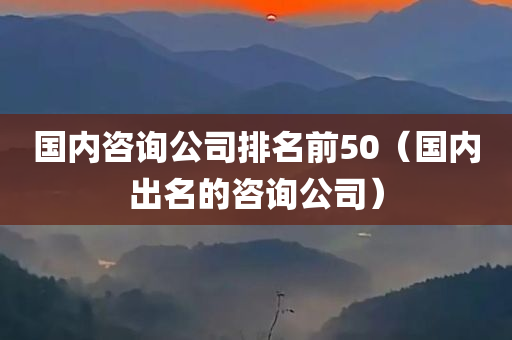 国内咨询公司排名前50（国内出名的咨询公司）