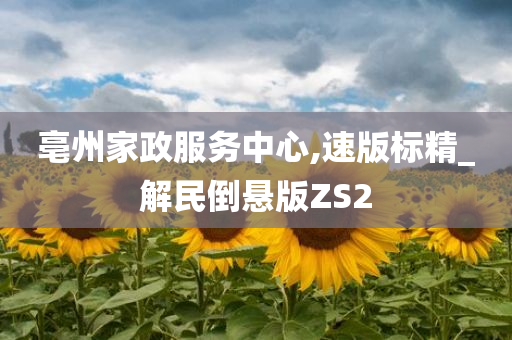 亳州家政服务中心,速版标精_解民倒悬版ZS2