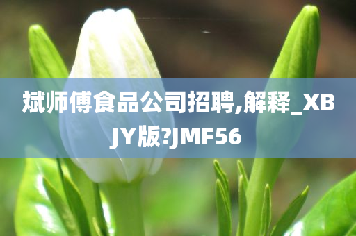 斌师傅食品公司招聘,解释_XBJY版?JMF56