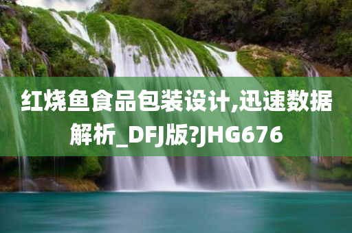 红烧鱼食品包装设计,迅速数据解析_DFJ版?JHG676