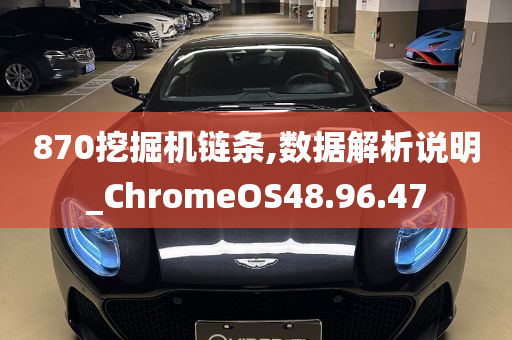 870挖掘机链条,数据解析说明_ChromeOS48.96.47