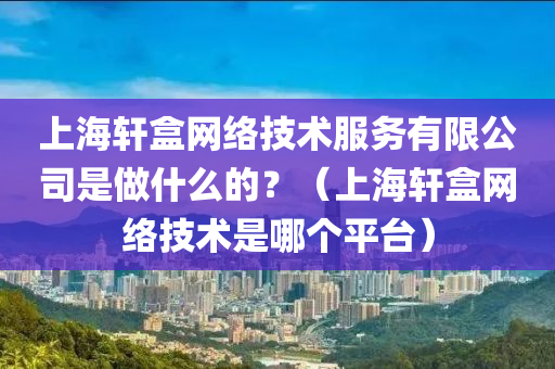 上海轩盒网络技术服务有限公司是做什么的？（上海轩盒网络技术是哪个平台）