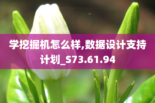 学挖掘机怎么样,数据设计支持计划_S73.61.94