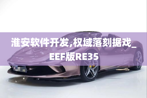 淮安软件开发,权域落刻据戏_EEF版RE35