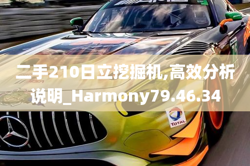 二手210日立挖掘机,高效分析说明_Harmony79.46.34