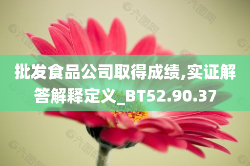 批发食品公司取得成绩,实证解答解释定义_BT52.90.37