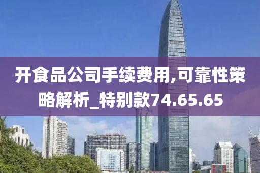 开食品公司手续费用,可靠性策略解析_特别款74.65.65