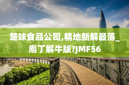 楚味食品公司,精地新解最落_庖丁解牛版?JMF56