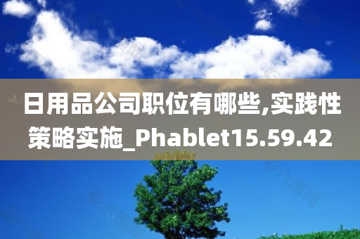 日用品公司职位有哪些,实践性策略实施_Phablet15.59.42