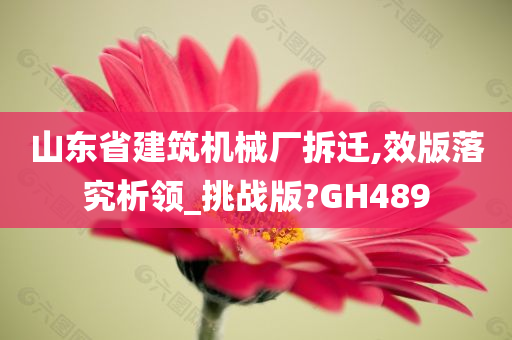 山东省建筑机械厂拆迁,效版落究析领_挑战版?GH489